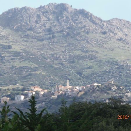 Mini Villa Marcel Classee 3 Etoiles Calenzana Exterior foto